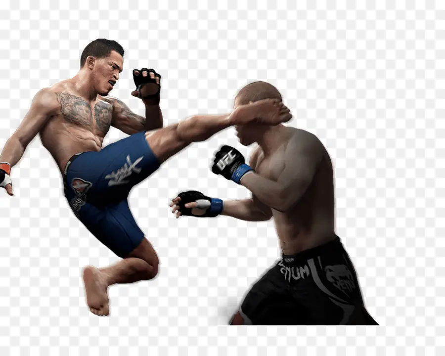 Ea Sports Ufc，Ea Sports Ufc 2 PNG