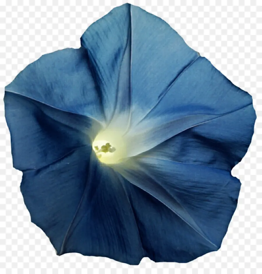 Azul，Azul Cobalto PNG