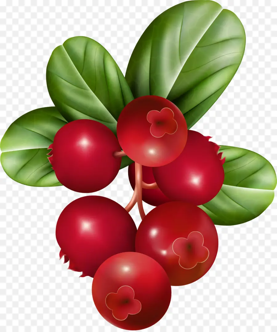 Berry，Frutas PNG