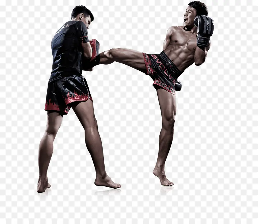 Kickboxing，Boxe PNG