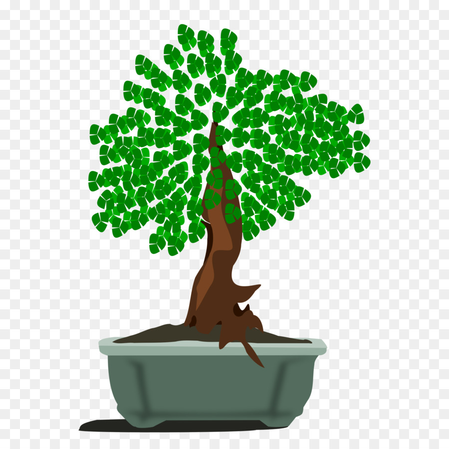 Árvore Bonsai，Plantar PNG