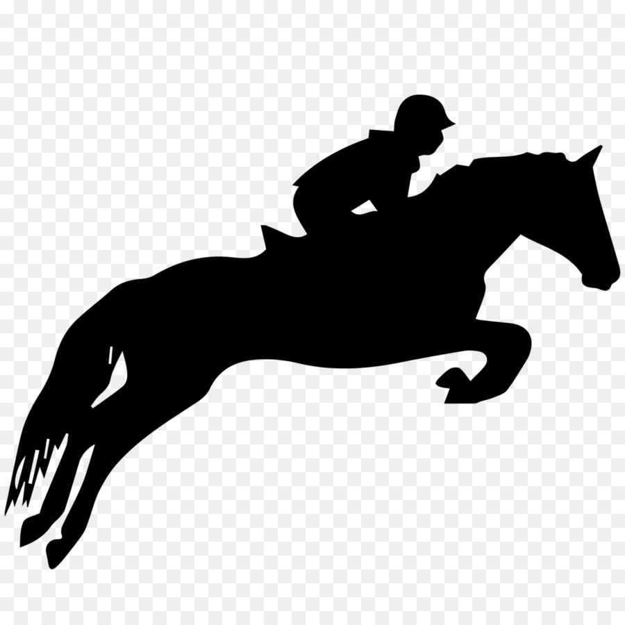 Cavalo, Cavalos De Salto, Show Jumping png transparente grátis