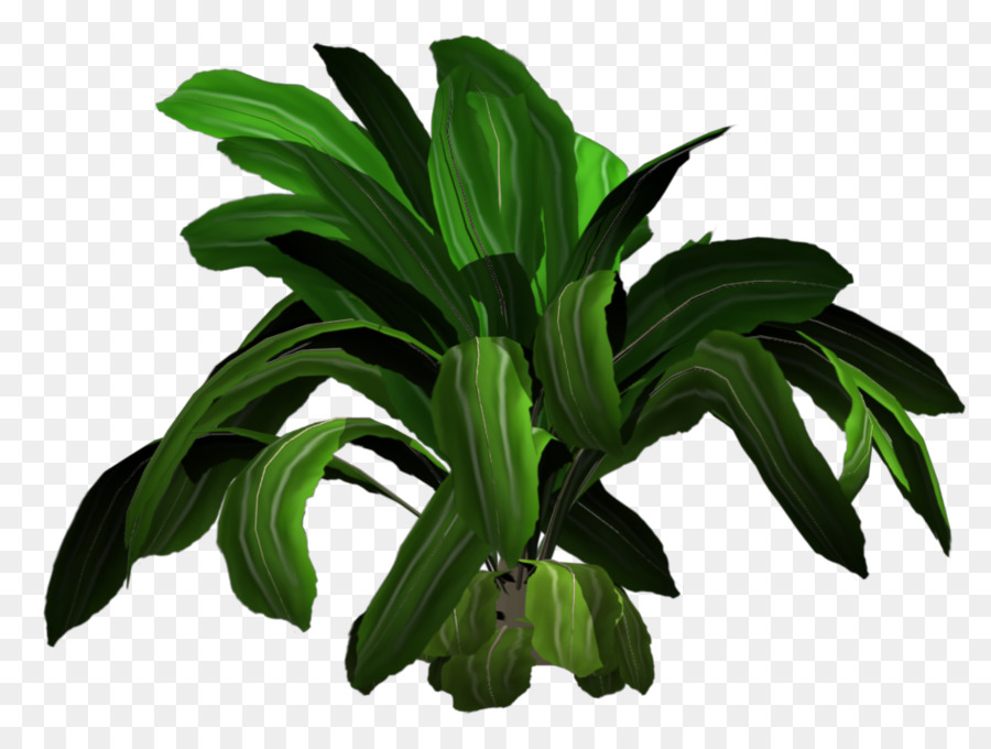 Planta Verde，Folhas PNG