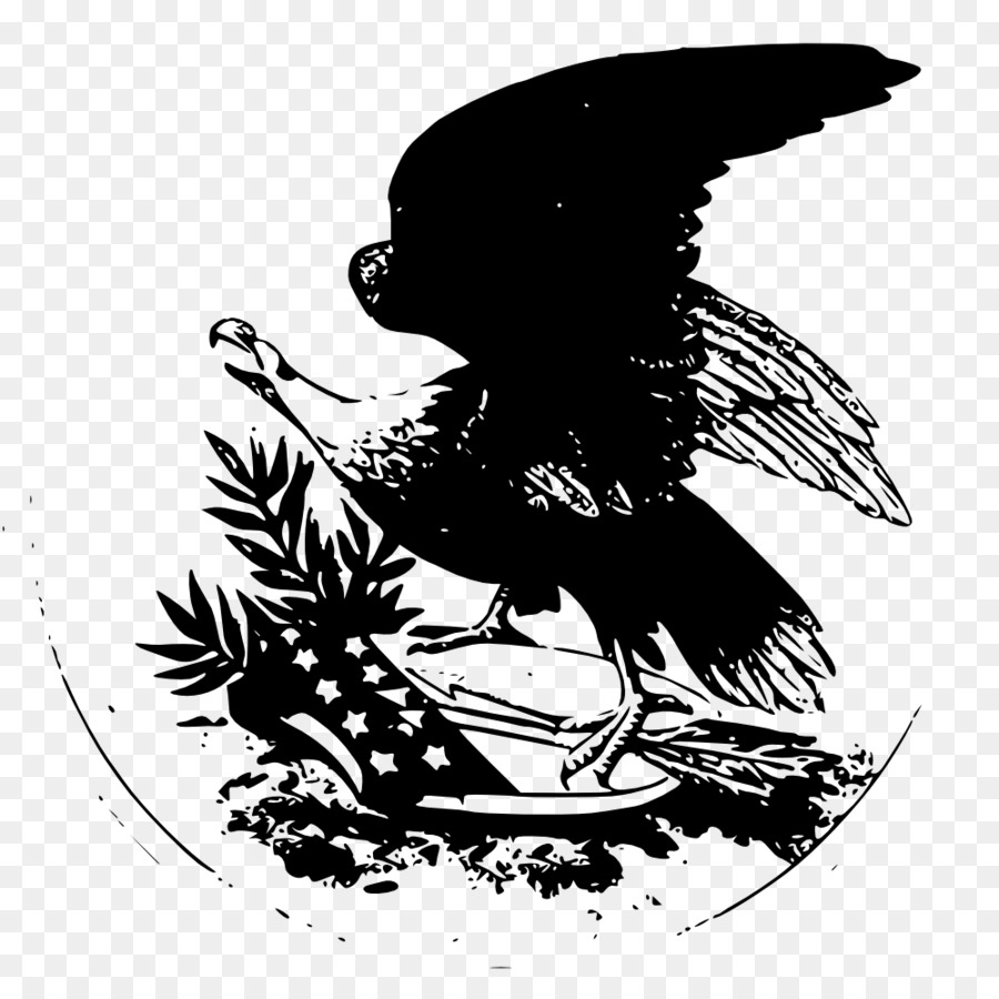 Aves，Preto E Branco PNG