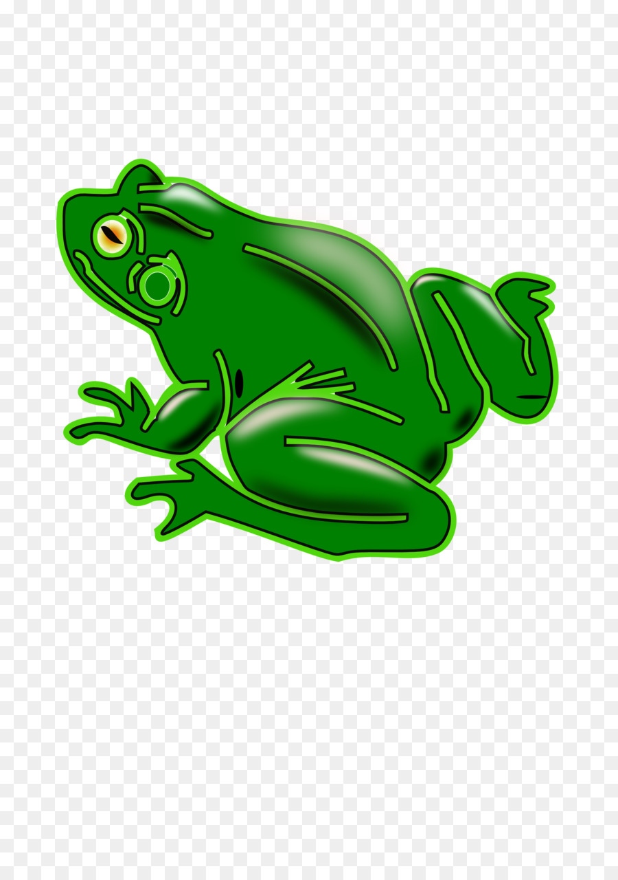 Sapo Verde Dos Desenhos Animados，Animal PNG