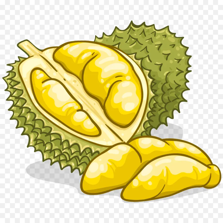 Durian，Alimentos PNG