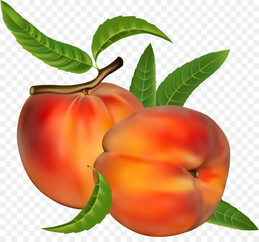 Pêssego，Frutas PNG