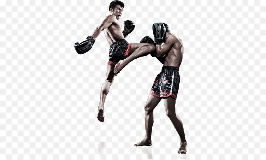 Muay Thai，Boxe PNG