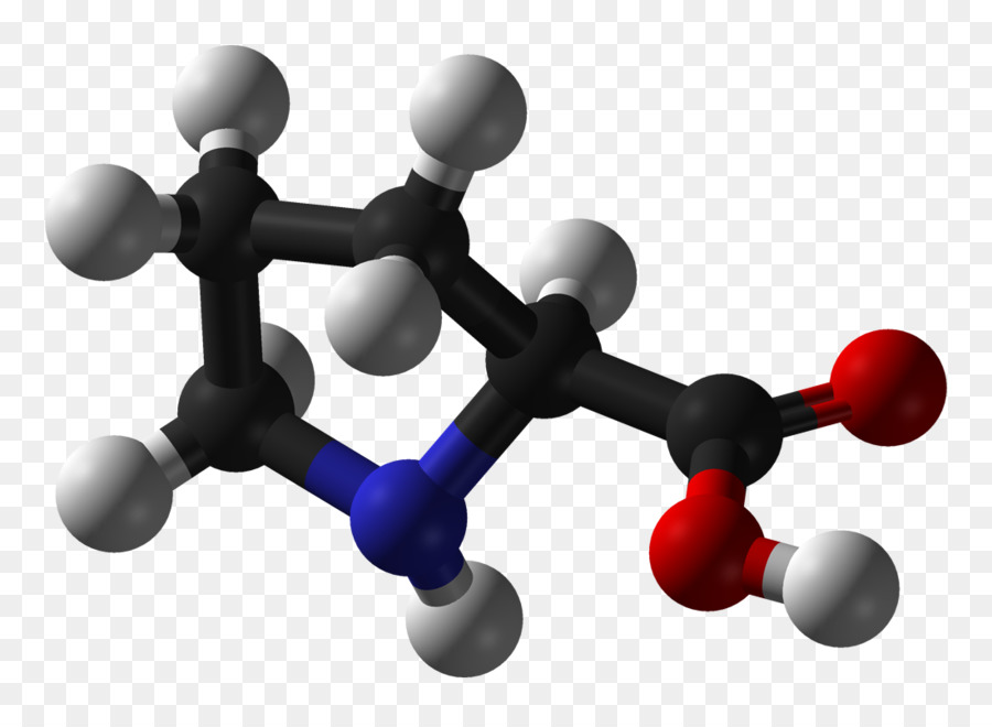 Prolina，Aminoácidos PNG
