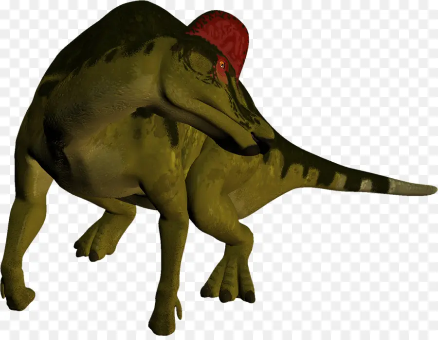 Tiranossauro，Dinossauro PNG