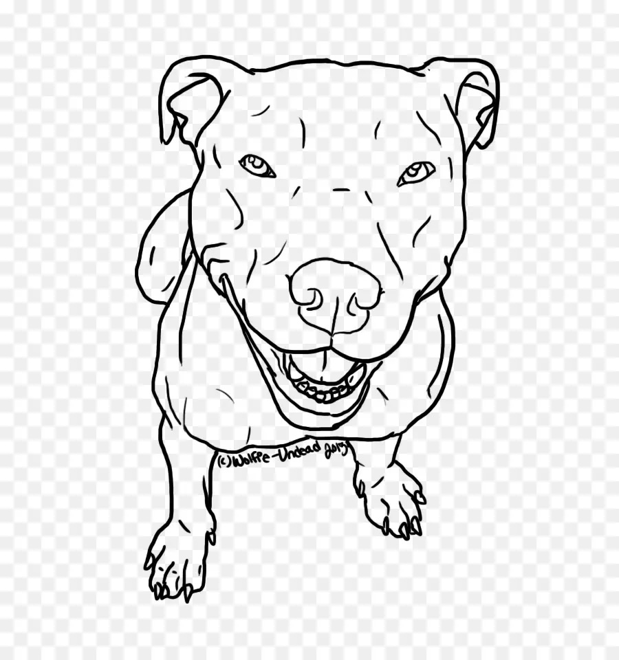 Pit Bull，American Pit Bull Terrier PNG