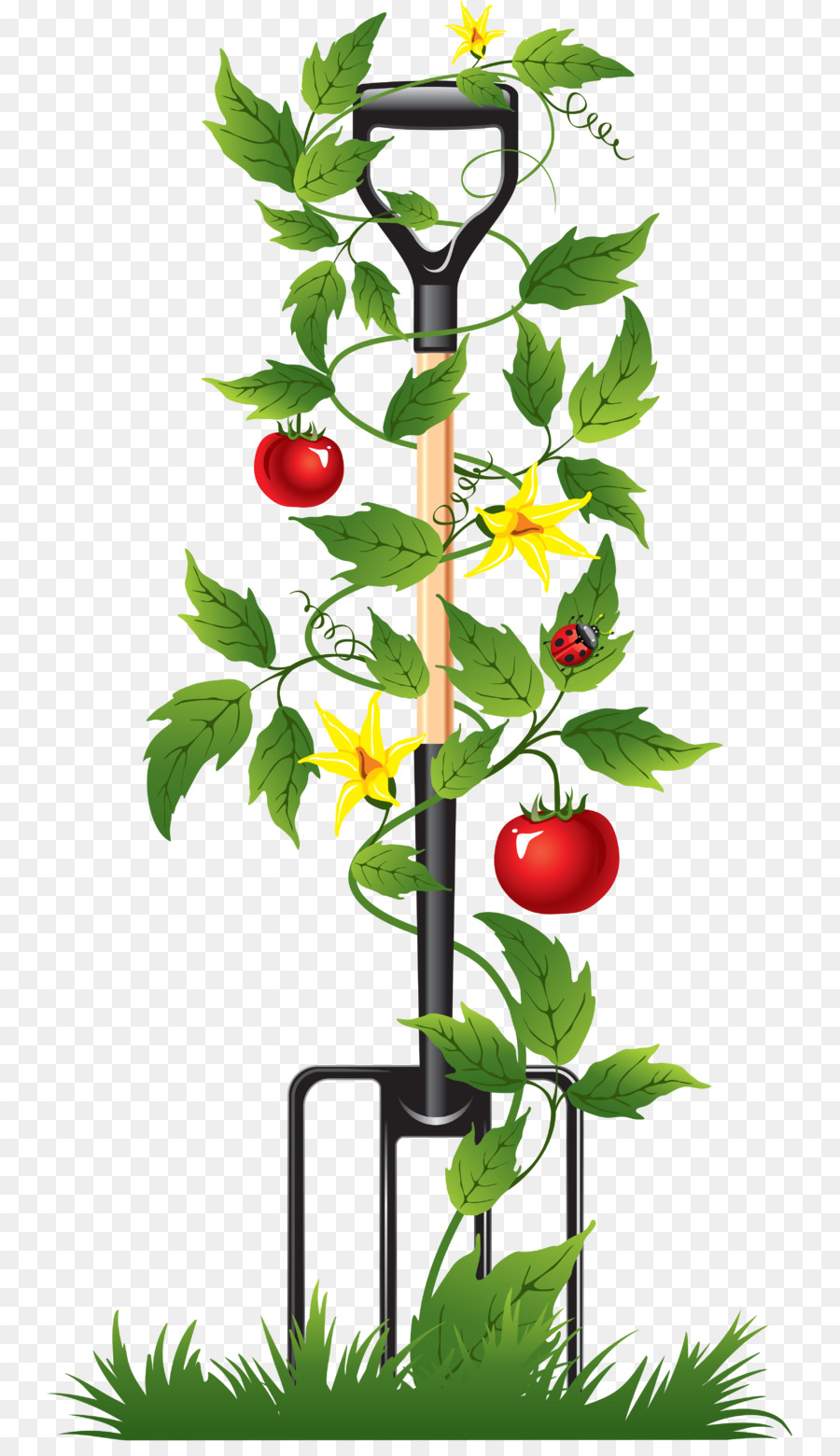 Garfo De Jardim Com Tomate，Tomate PNG