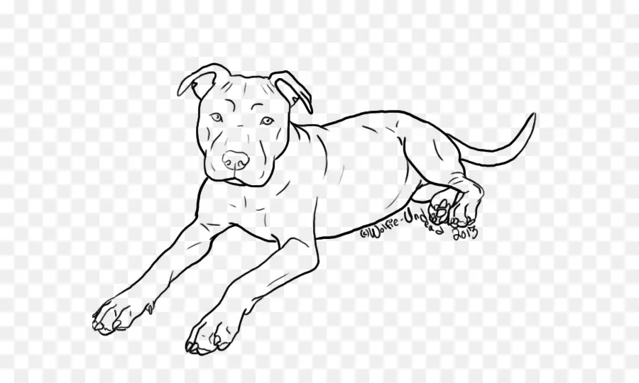 Pit Bull，American Pit Bull Terrier PNG