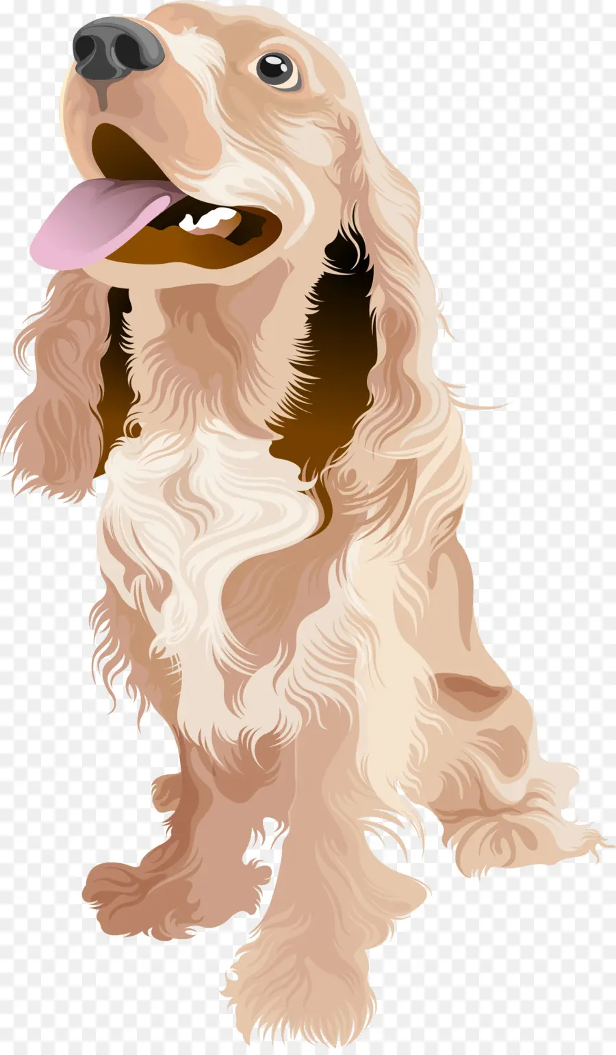 Cockapoo，Cocker Spaniel Inglês PNG