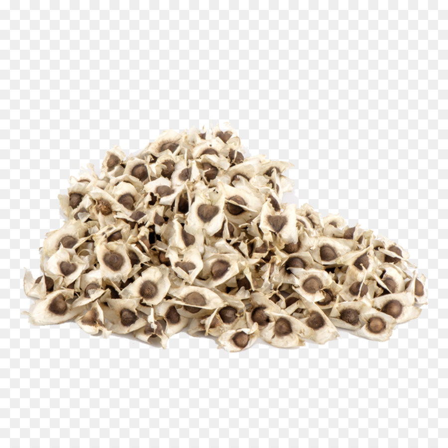 Sementes De Moringa，Sementes PNG