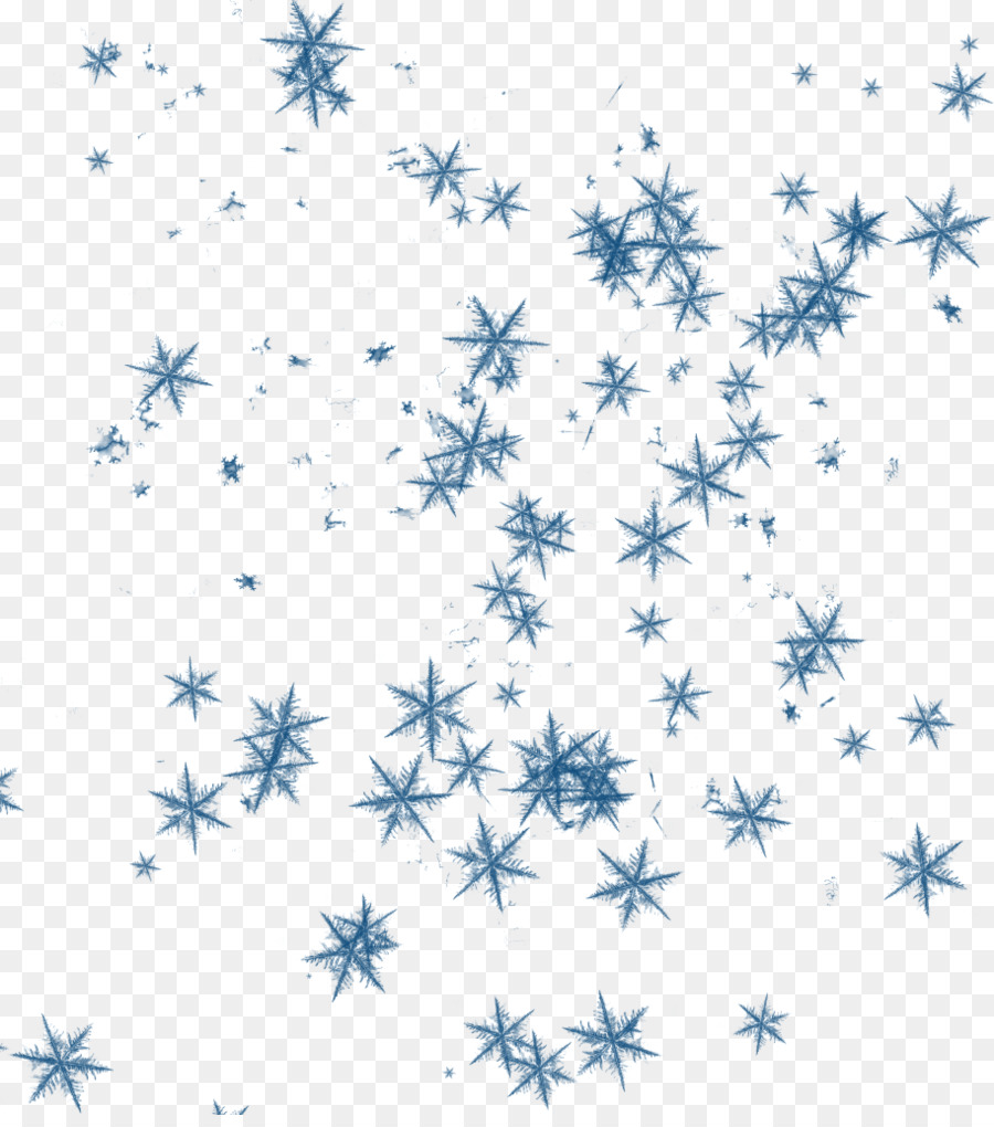 Estrela，Contorno PNG