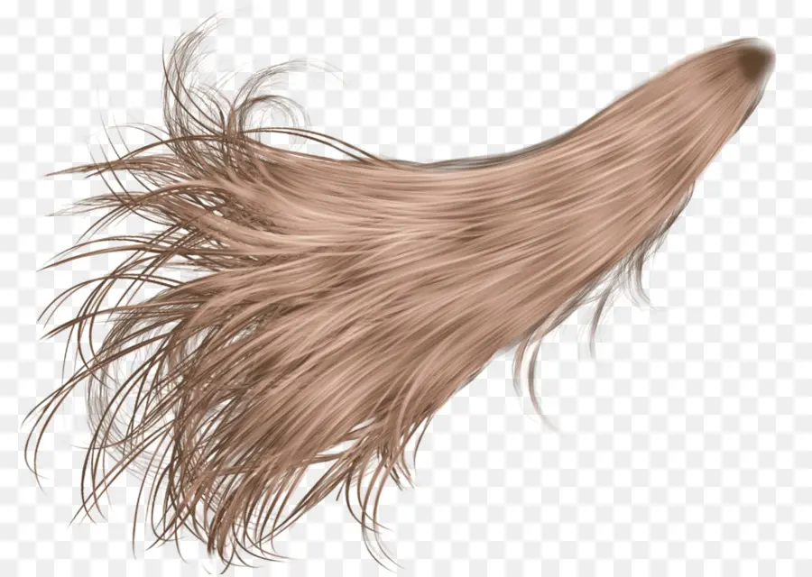 Cabelo，Rabo De Cavalo PNG