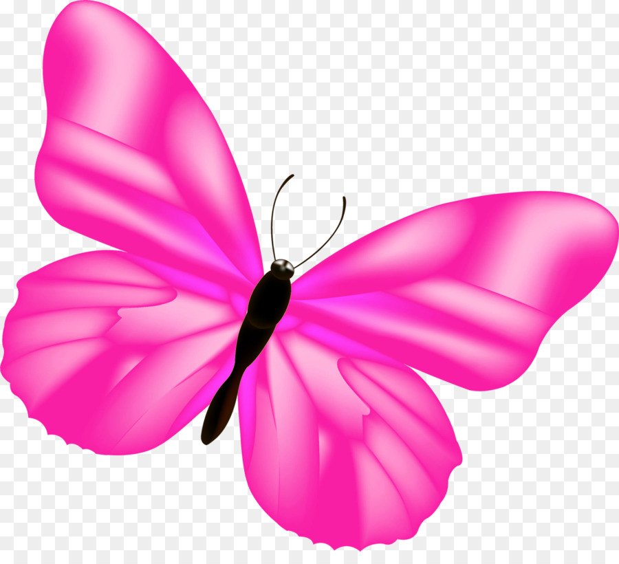 borboleta cor de rosa fundo pintado à mão cor de rosa a 3db