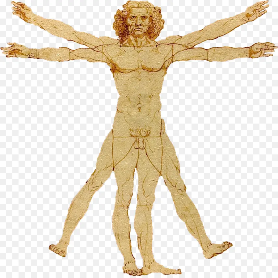 Homem Vitruviano，Leonardo Da Vinci PNG