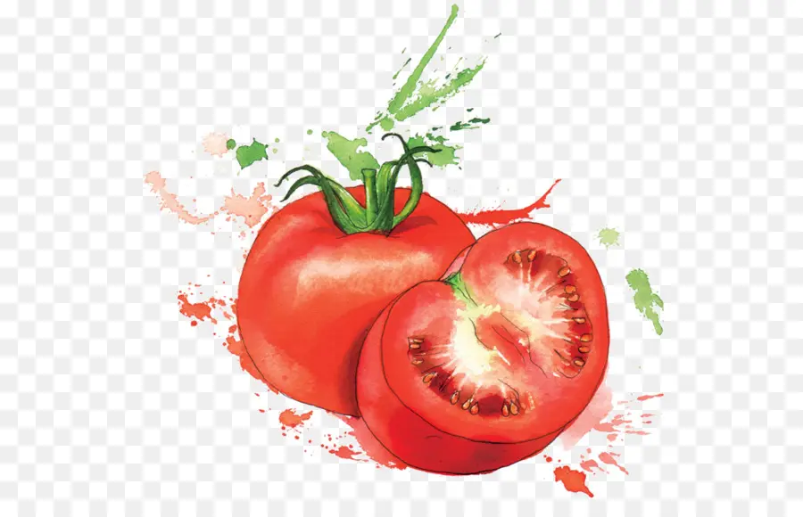 Tomate，Vegetal PNG