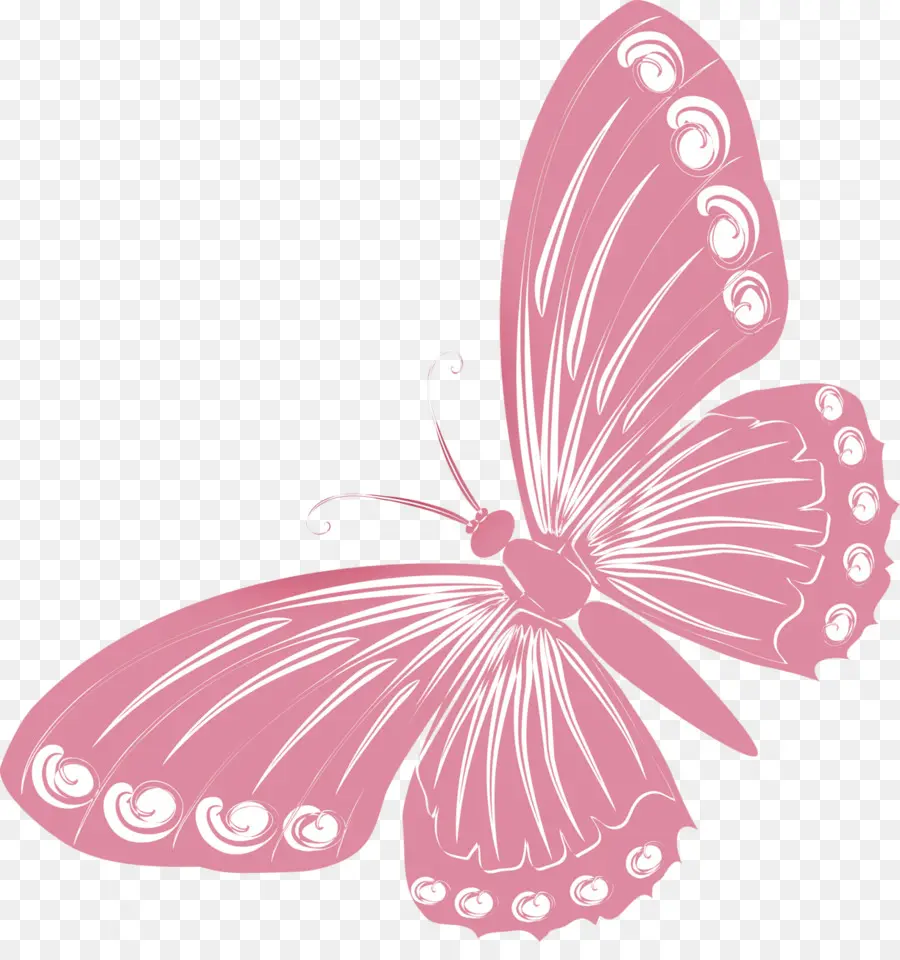 Borboleta，Desenho PNG