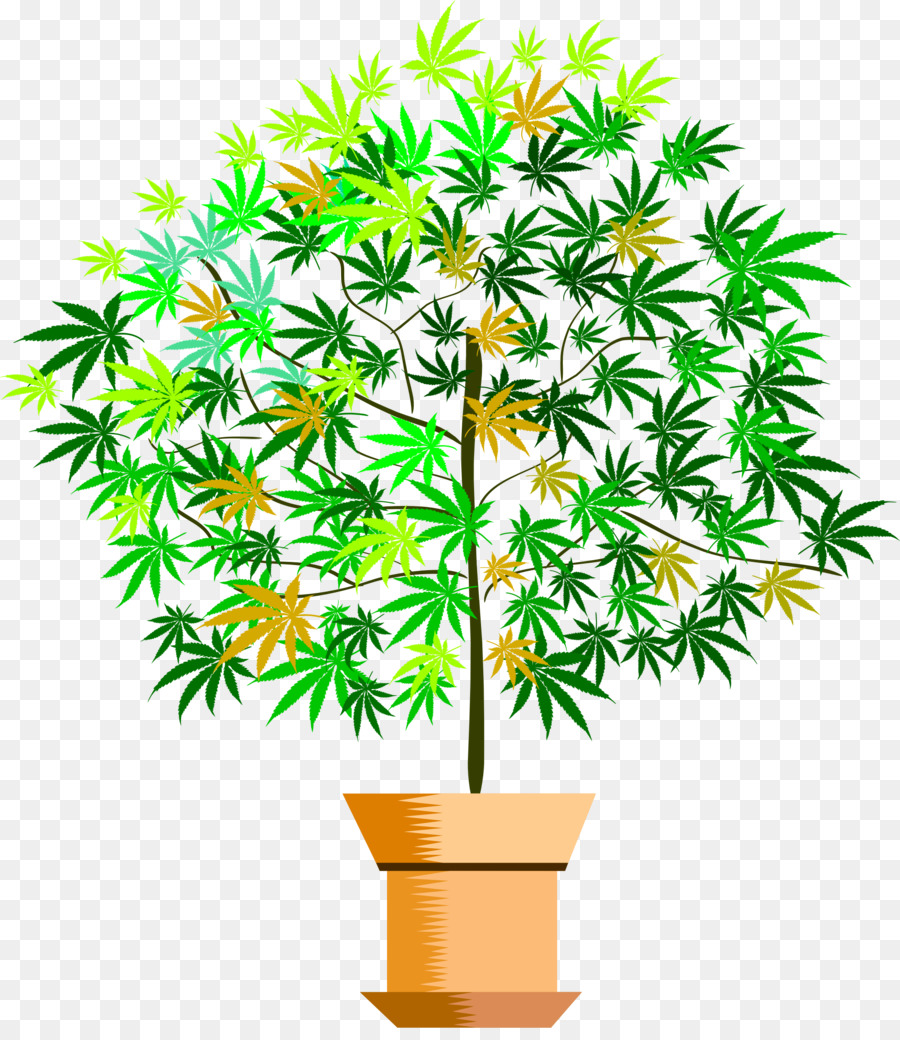 Planta Em Vaso，Pote PNG