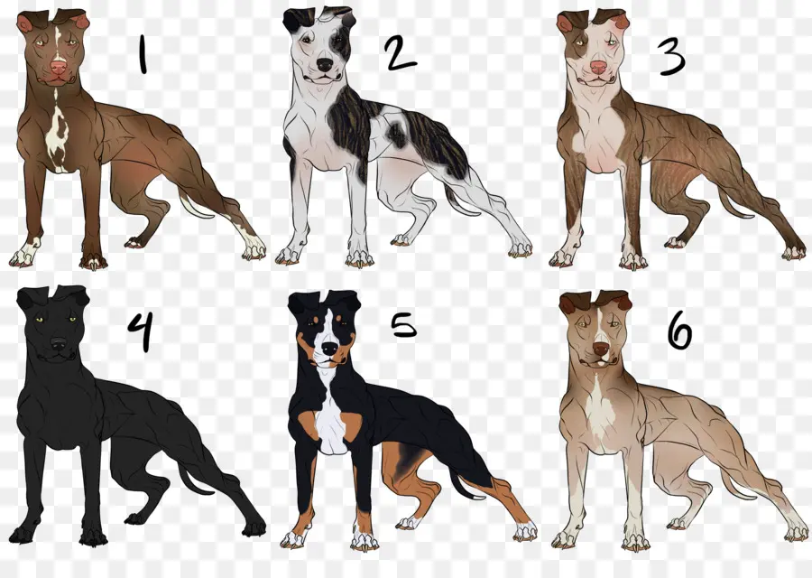 Cães，Pit Bulls PNG