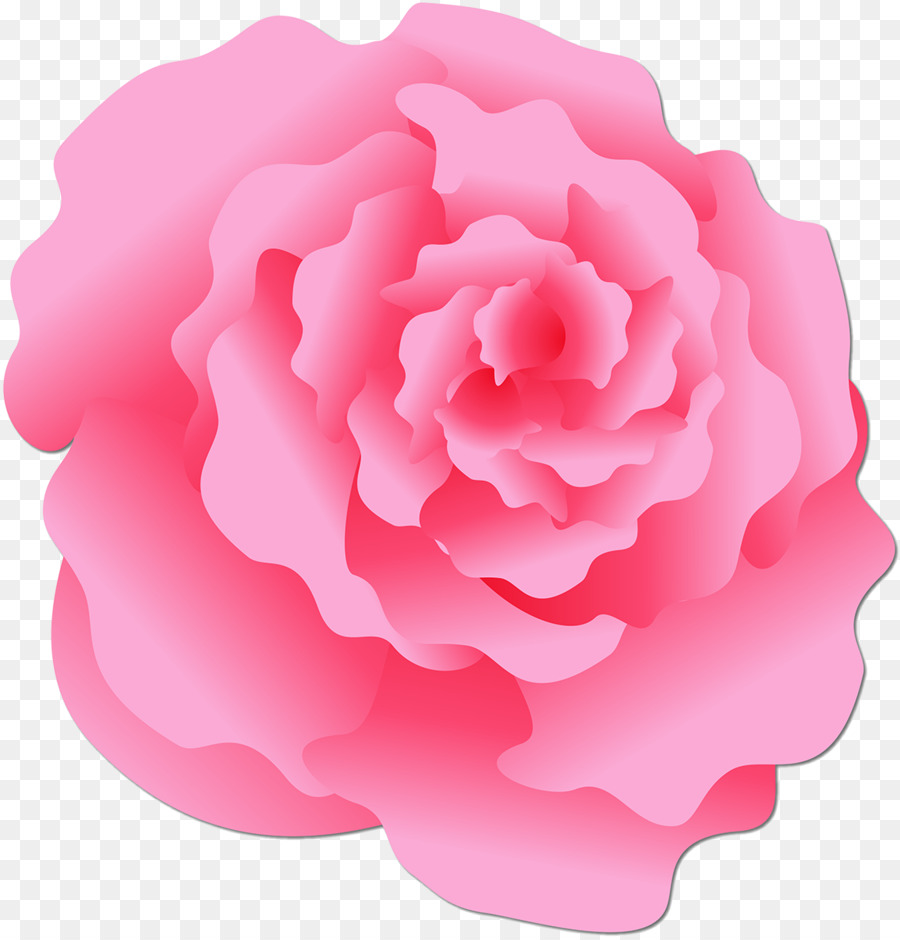 Damasco Rosa，Centifolia Rosas PNG