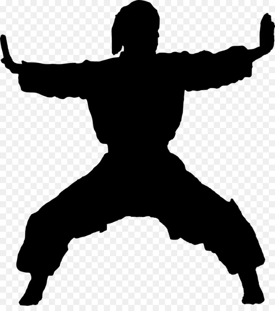 Karate，Silhueta PNG