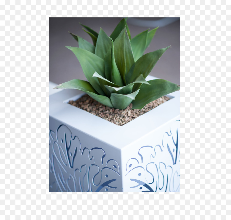 Flowerpot，Planta PNG