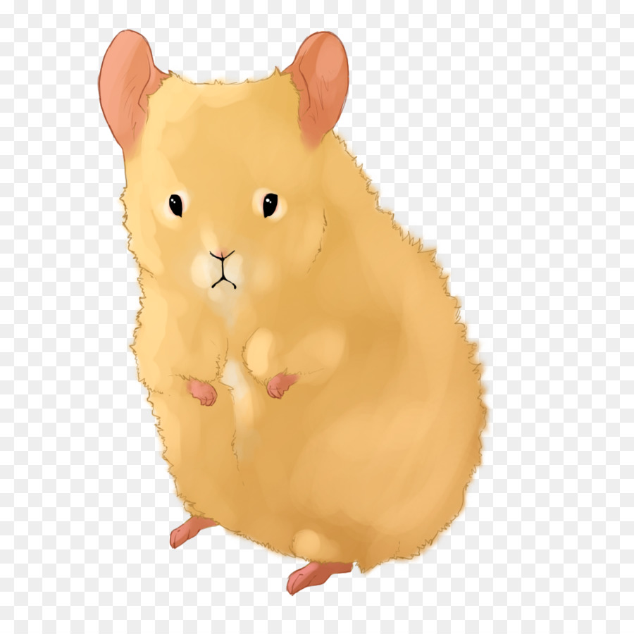 Rato Fofo，Rato PNG