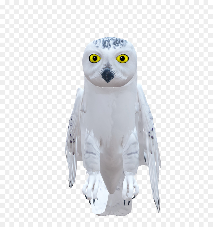 Coruja，Aves PNG