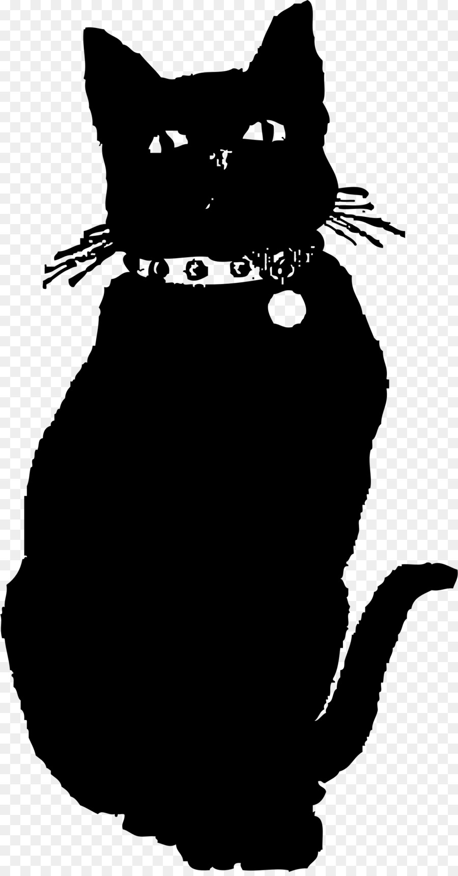 Gato Preto，Animal PNG