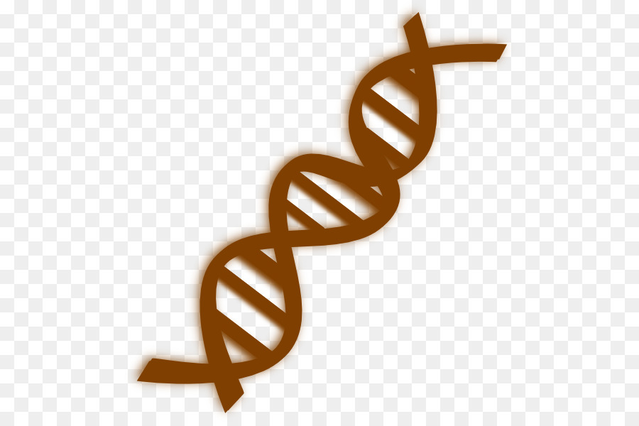 Fio De Dna，Genética PNG