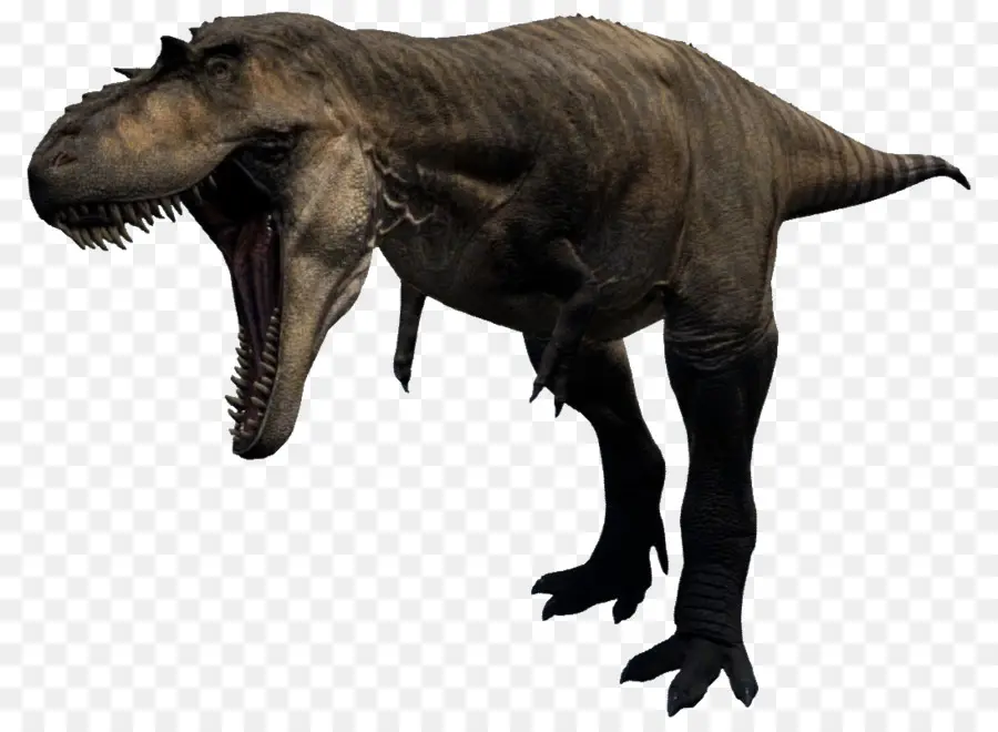 Tiranossauro Rex，Dentes PNG