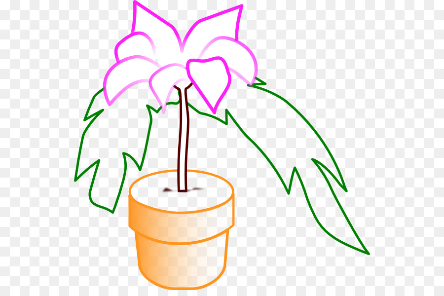 Planta Em Vaso，Flor PNG