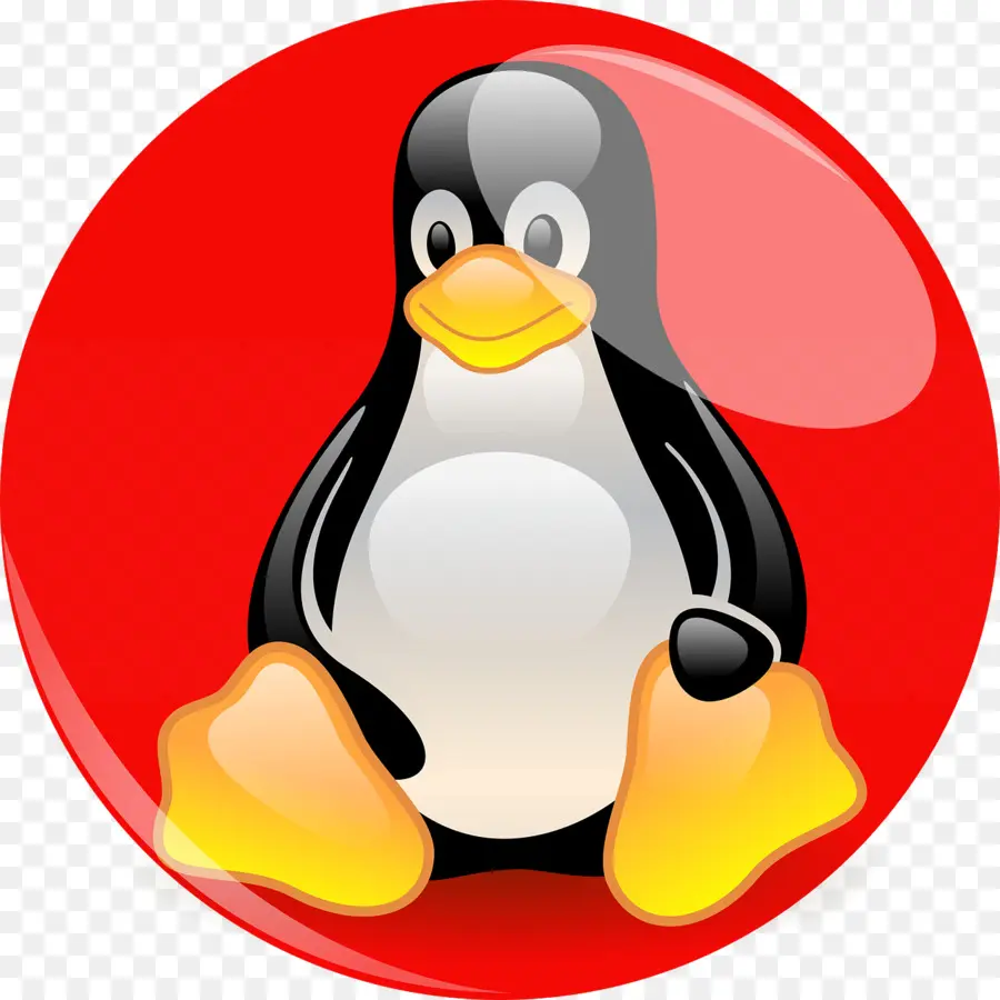 Pinguim，Desenho Animado PNG