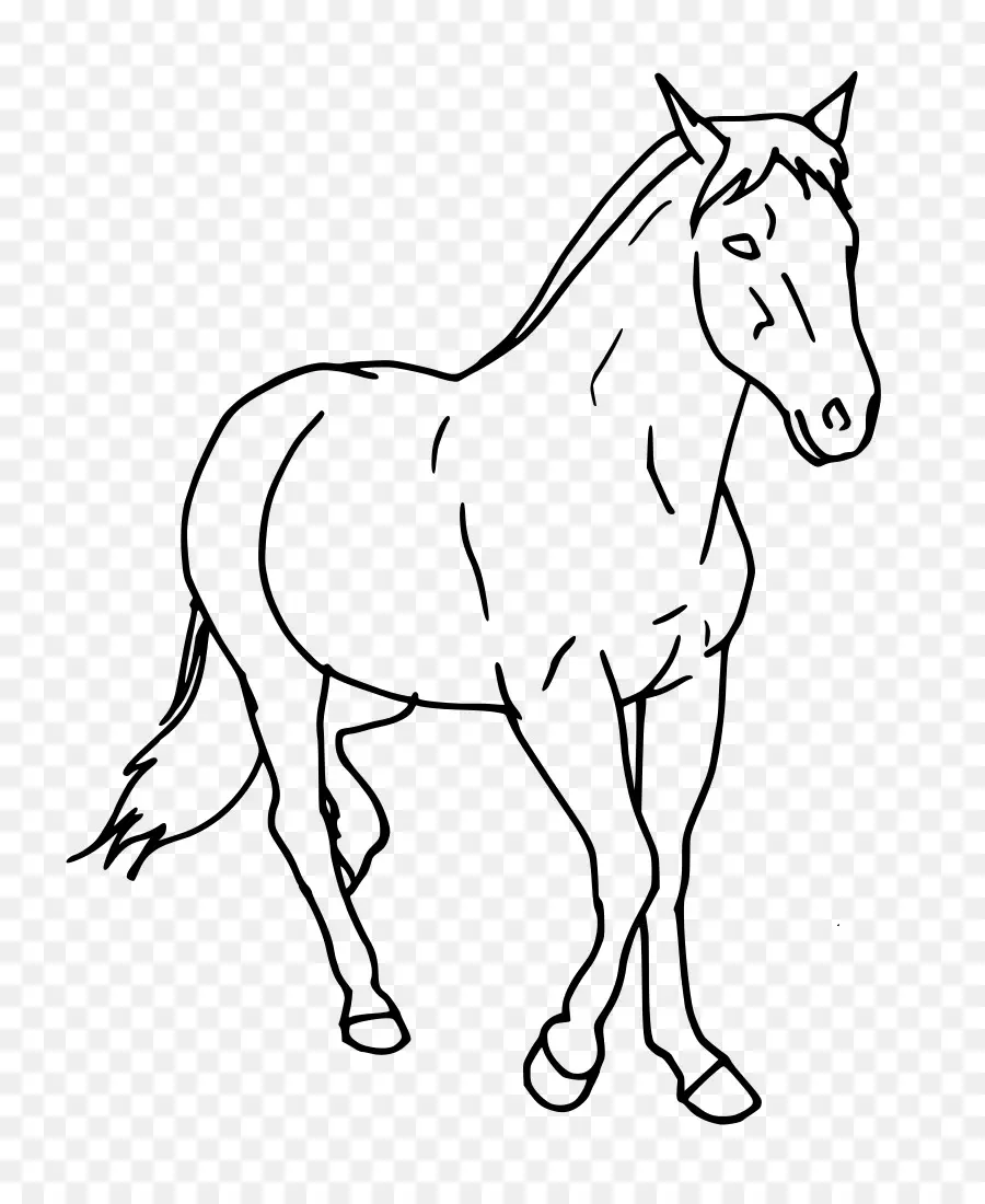 Cavalo，Potro PNG