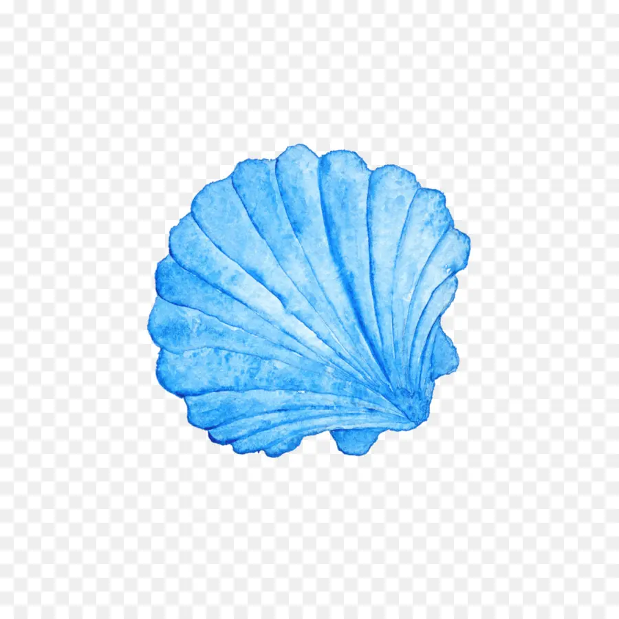 Seashell，Pintura Em Aquarela PNG