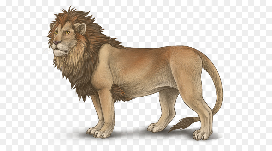 Leão，Mutação PNG