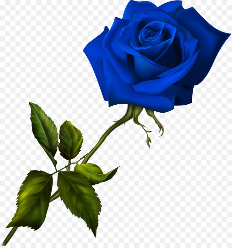 Azul，Rosa Azul PNG