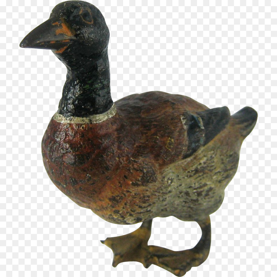 Pato，Pato Real PNG