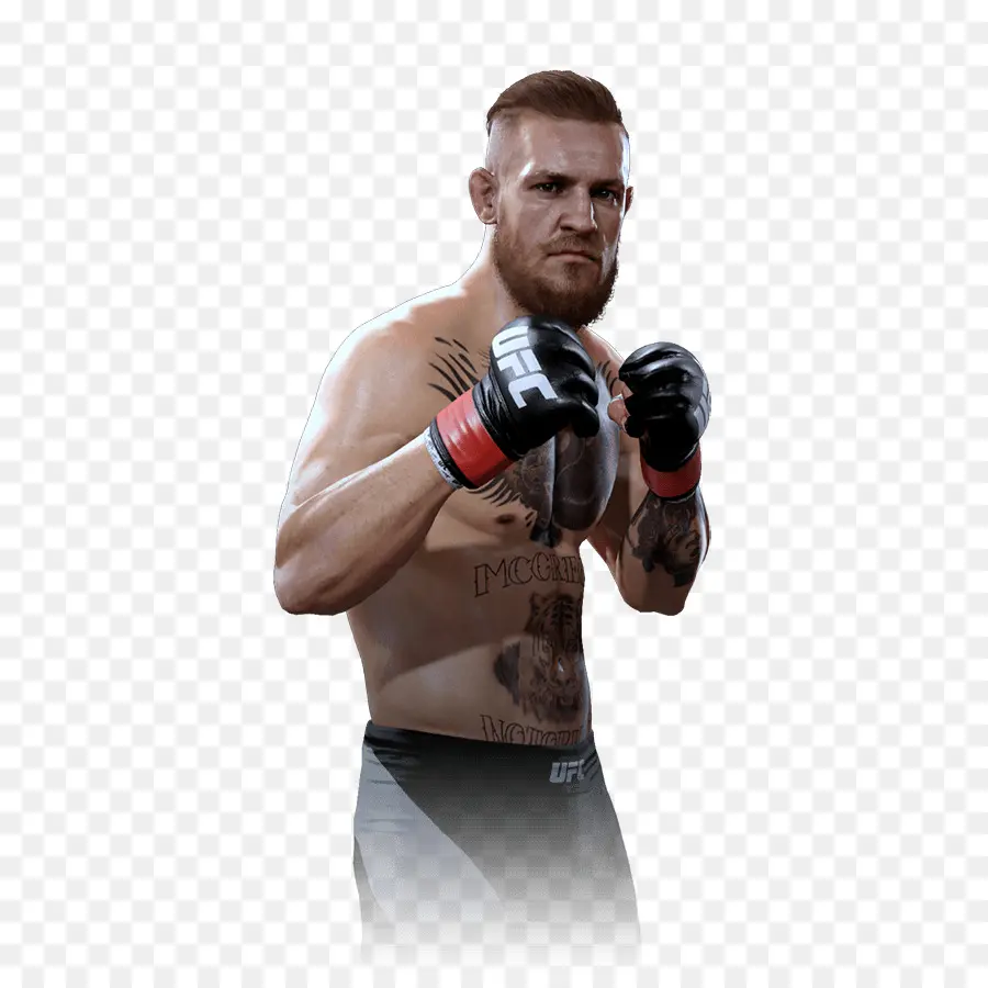 Boxer，Boxe PNG