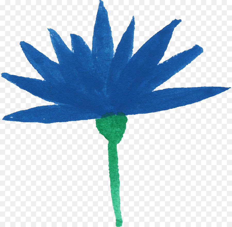 Planta De Haste，Flor PNG