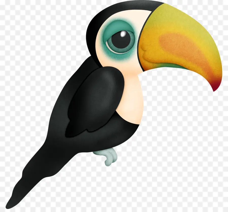 Tucano，Pássaro PNG