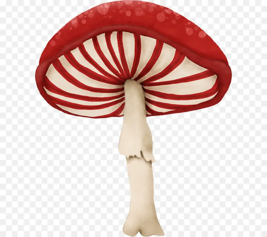 Cogumelo，Vermelho PNG