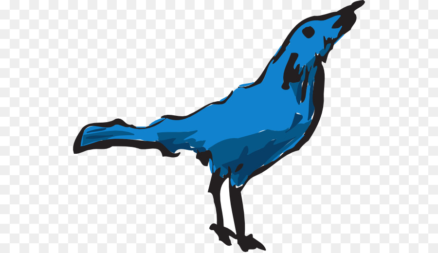 Aves，Azul PNG