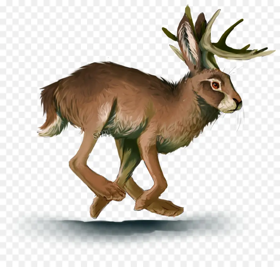 Jackalope，Coelho PNG