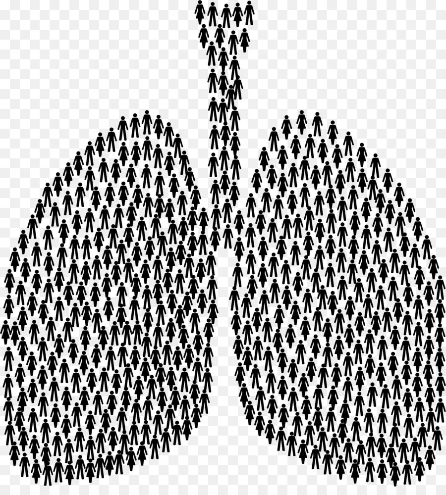 Pulmões Feitos De Pessoas，Multidão PNG