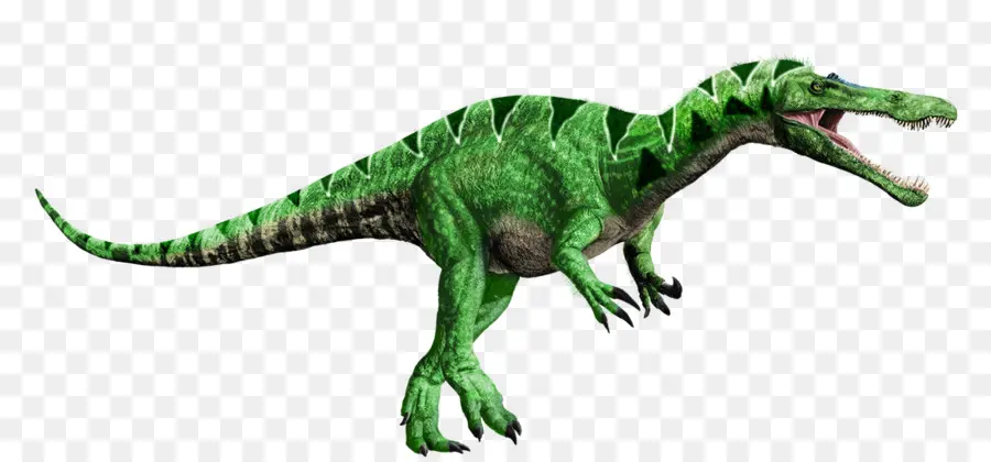 Baryonyx，Spinosaurus PNG